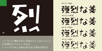 Takaland-kaku Font Poster 2